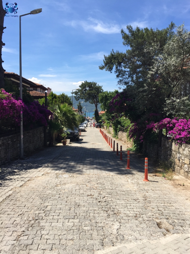 Akyaka fotoğrafları
