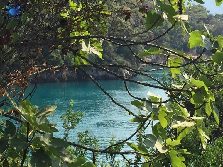 Akyaka fotoğrafları