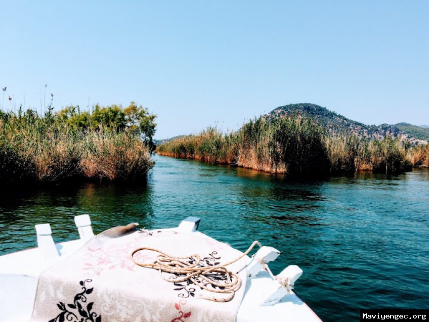 MUĞLA ; Dalyan