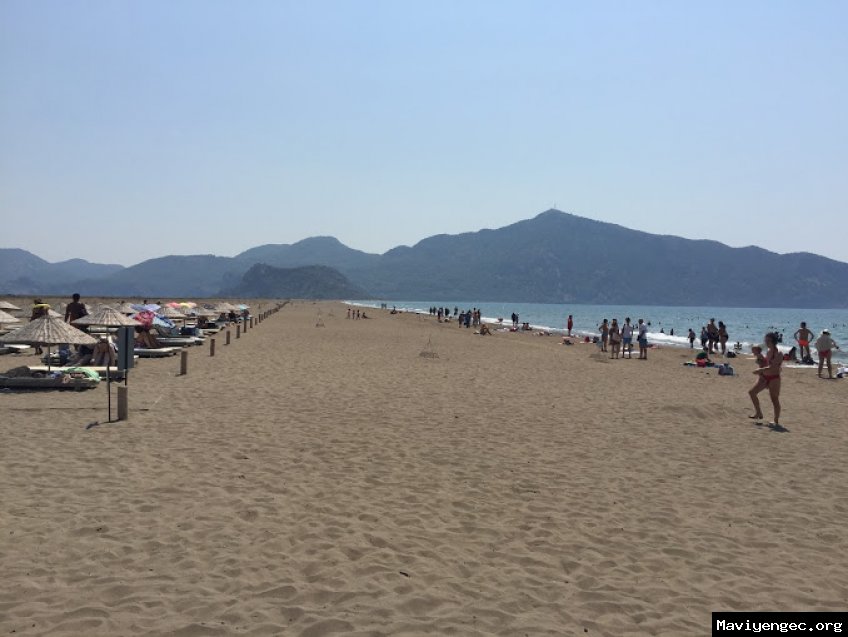 MUĞLA ; Dalyan