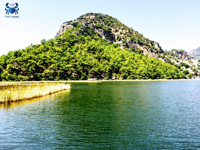 Muğla; Dalyan