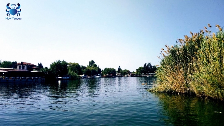Muğla; Dalyan