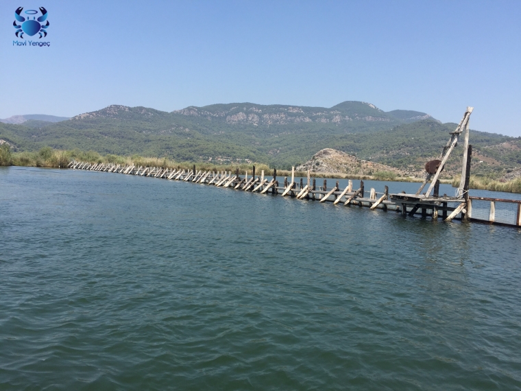 Muğla; Dalyan