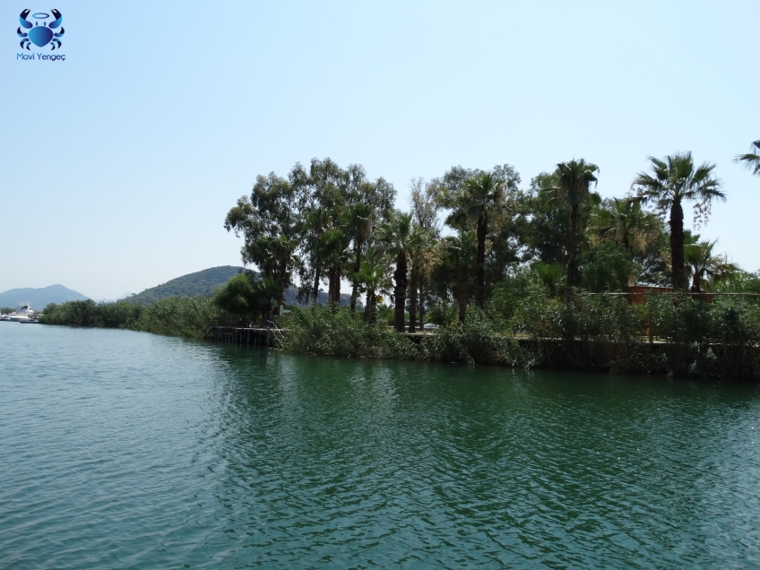 MUĞLA ; Dalyan
