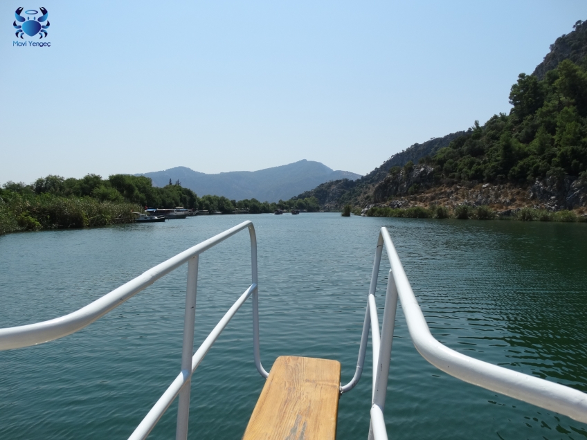 MUĞLA ; Dalyan