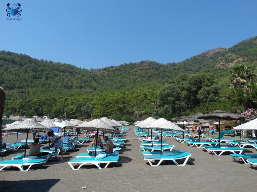 MUĞLA, Köyceğiz, Ekincik koyu