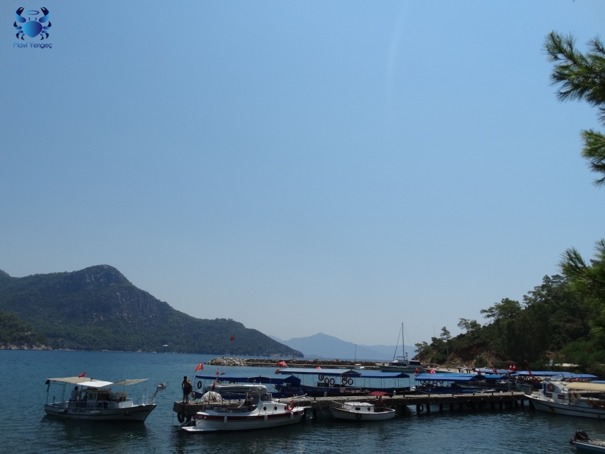 MUĞLA, Köyceğiz, Ekincik koyu