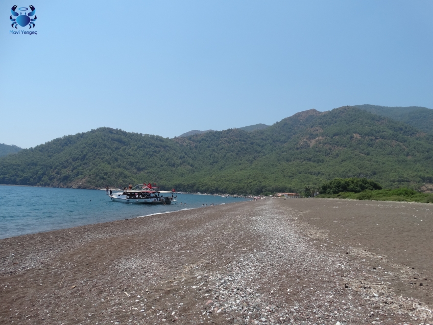 MUĞLA, Köyceğiz, Ekincik koyu